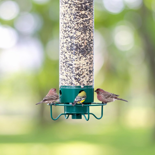 Metal Squirrel-Proof Bird Feeder - For Garden and Balcony