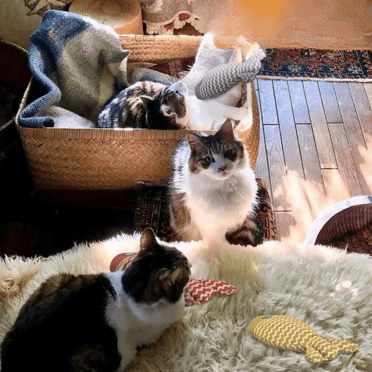 Interactive Catnip Fish Toy – Chewing, Kicking Play for Indoor Cats