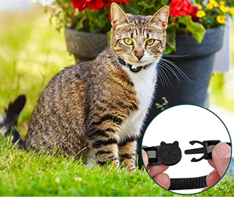 Cat GPS Tracker Collar | Reflective Safety Quick-Release Pet Neckband