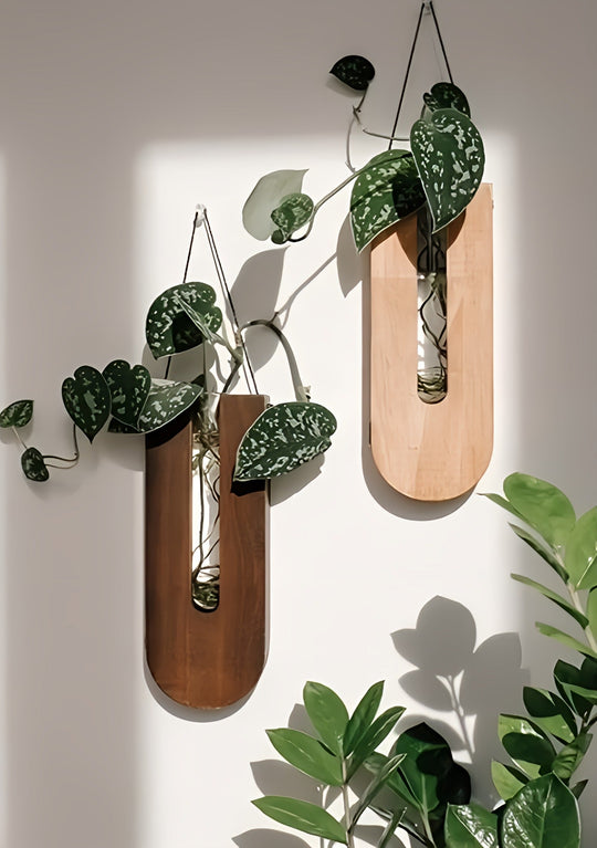 Wooden Wall Flower Holders for Houseplants