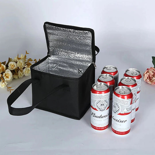 Insulated Cooler Bag with Aluminum Lining - For Picnic and Lunch