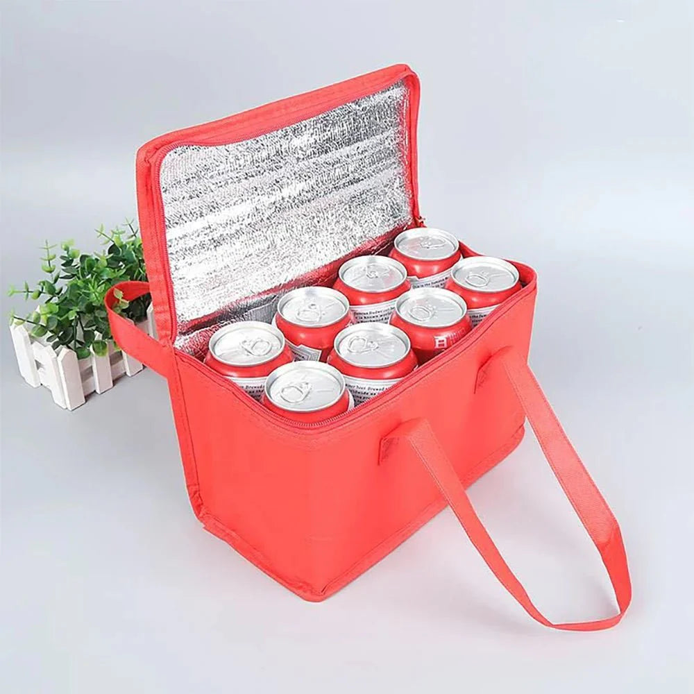 Insulated Cooler Bag with Aluminum Lining - For Picnic and Lunch