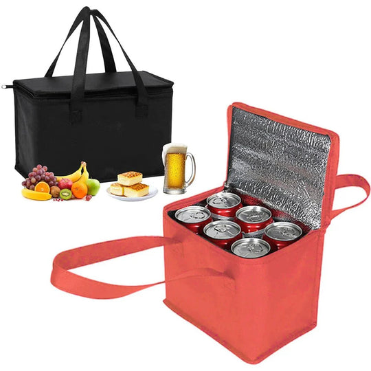 Insulated Cooler Bag with Aluminum Lining - For Picnic and Lunch