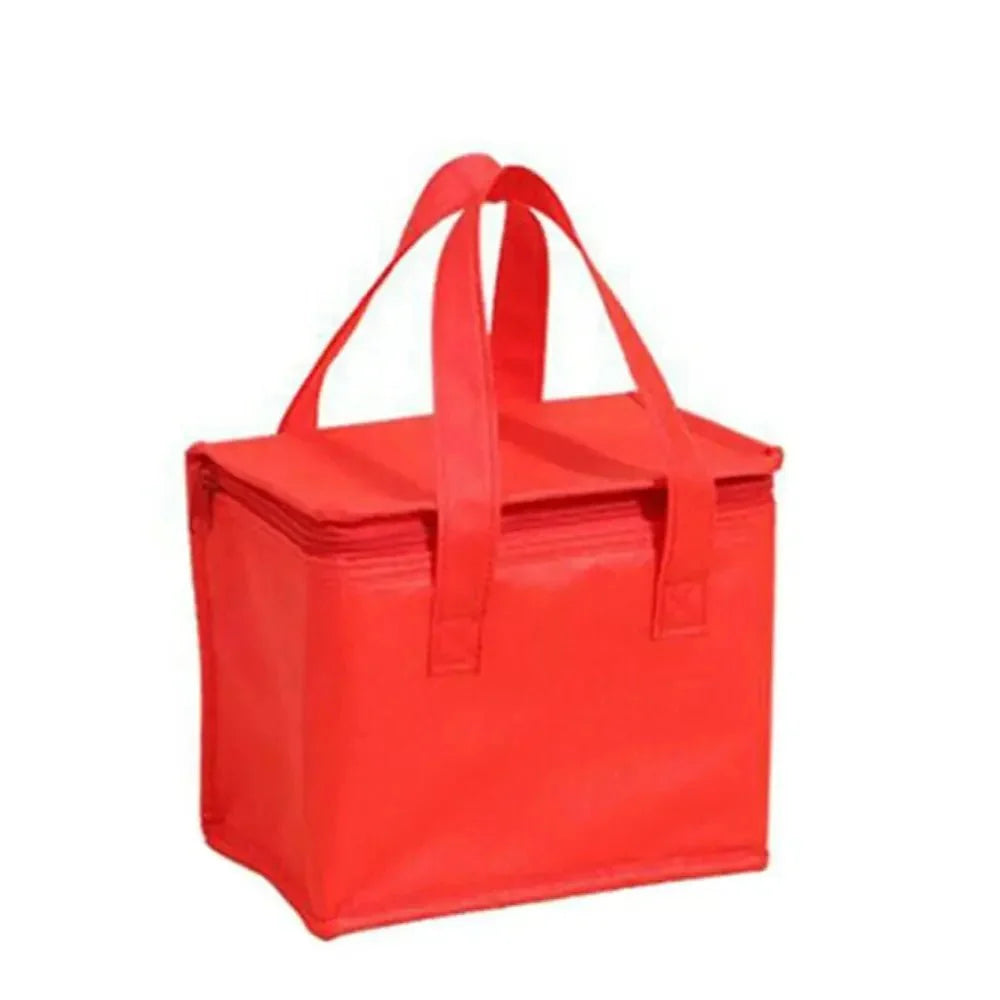 Insulated Cooler Bag with Aluminum Lining - For Picnic and Lunch