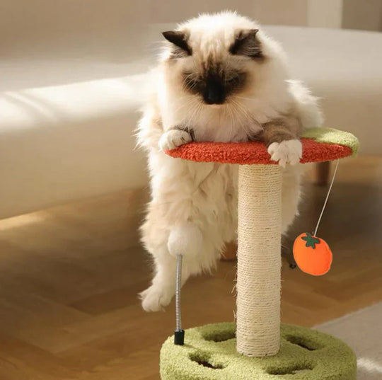 Krab & Speel Toren – Compact Krabplezier voor Elke Kat