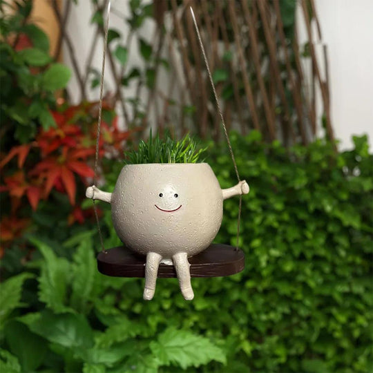 Hangende Succulenten Pot