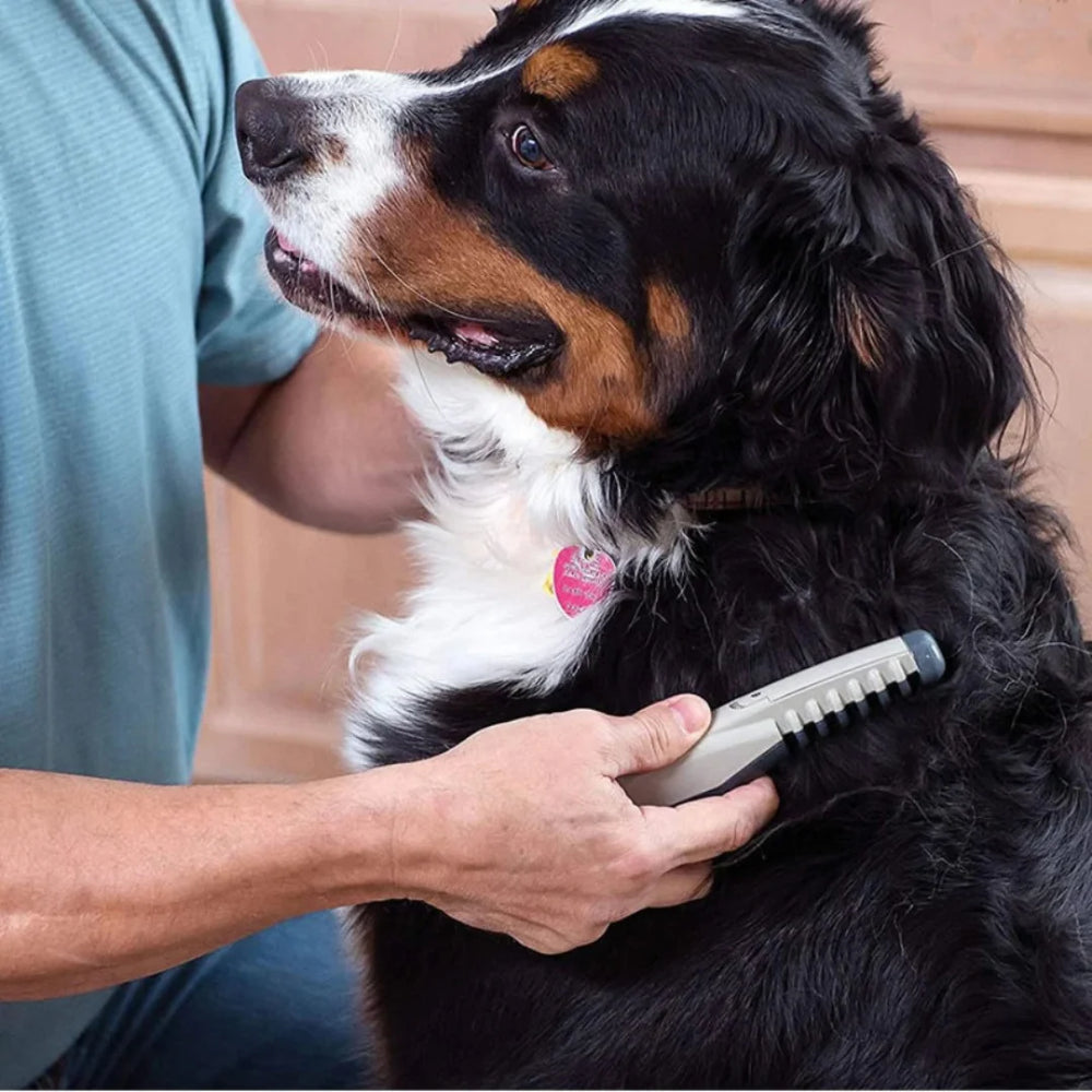 Vachttrimmer Huisdier – Pijnloos Ontklitten voor Hond & Kat