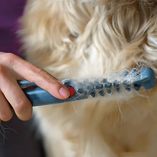 Vachttrimmer Huisdier – Pijnloos Ontklitten voor Hond & Kat